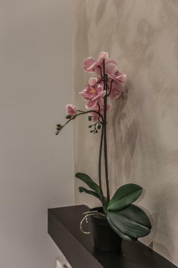 Stylish Apartment Near Duomo Mailand Exterior foto